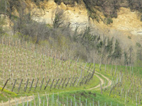 Clicca per Ingrandire